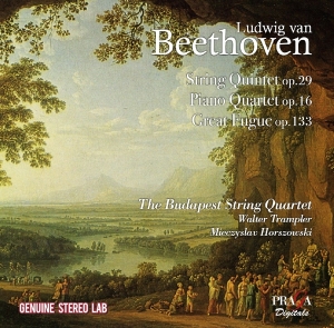 David Zinman - String Quintet Op.29/Piano Qartet Op.16/Great Fugue i gruppen CD hos Bengans Skivbutik AB (2517446)
