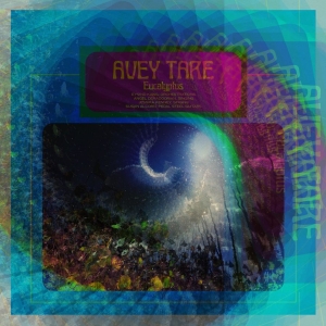 Avey Tare - Eucalyptus i gruppen VINYL hos Bengans Skivbutik AB (2519789)