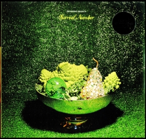 Swarming Branch - Surreal Number i gruppen VINYL hos Bengans Skivbutik AB (2519921)