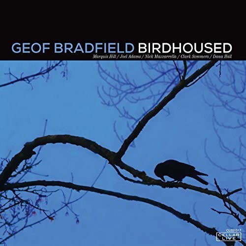 Bradfield Geof - Birdhoused i gruppen CD / Jazz/Blues hos Bengans Skivbutik AB (2520017)
