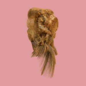 HOLY FAMILY - VALUES i gruppen CD / Rock hos Bengans Skivbutik AB (2520056)