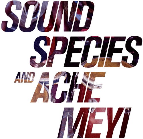 Soundspecies And Ache Meyi - Soundspecies And Ache Meyi i gruppen CD / Pop hos Bengans Skivbutik AB (2522346)