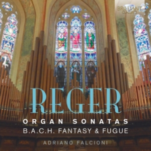 Reger Max - Organ Sonatas i gruppen CD hos Bengans Skivbutik AB (2522449)