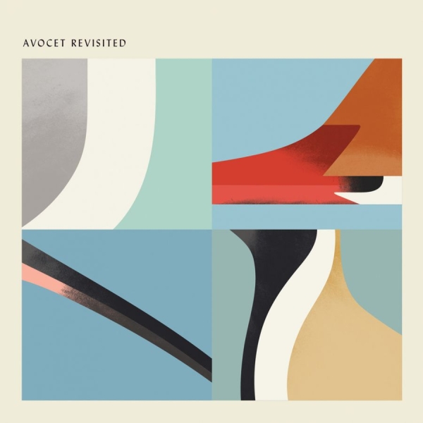 Various Artists - Avocet Revisited i gruppen VINYL / Toppselgere hos Bengans Skivbutik AB (2538492)