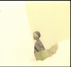 Mock Orange - Put The Kid On The Sleeping Horse i gruppen VINYL hos Bengans Skivbutik AB (2549021)