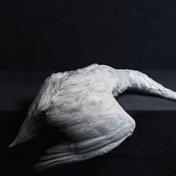 Amenra - Mass Vi i gruppen CD / Toppselgere hos Bengans Skivbutik AB (2557253)