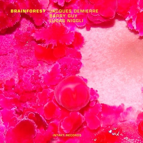 Jacques Demierre Barry Guy Lucas - Brainforest i gruppen CD / Toppselgere hos Bengans Skivbutik AB (2557367)