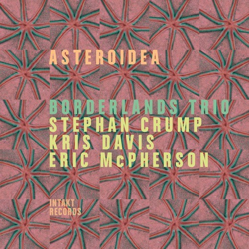 Borderlands Trio - Asteroidea i gruppen CD / Jazz/Blues hos Bengans Skivbutik AB (2557543)