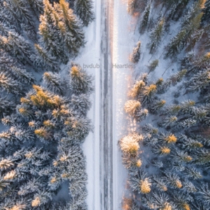 BVDUB - HEARTLESS i gruppen CD hos Bengans Skivbutik AB (2560265)