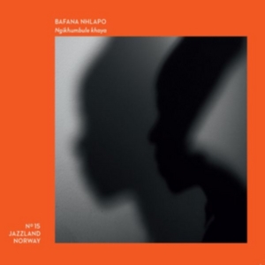 Nhlapo Bafana - Ngikhumbule Kenya i gruppen CD hos Bengans Skivbutik AB (2572364)