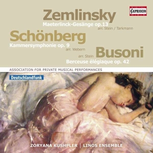 Zemlinsky Alexander Schoenberg A - Orchestral Songs i gruppen CD hos Bengans Skivbutik AB (2607678)