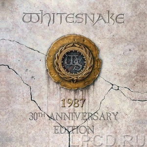 Whitesnake - Whitesnake i gruppen Minishops / John Sykes hos Bengans Skivbutik AB (2618084)