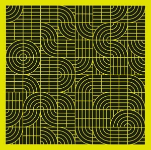 Momus - Pubic Intellectual: An Antholog i gruppen VINYL hos Bengans Skivbutik AB (2645512)