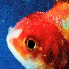 Vince Staples - Big Fish Theory (Picture disc) i gruppen VINYL hos Bengans Skivbutik AB (2657171)