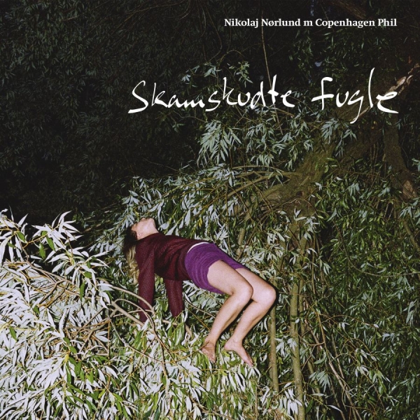 Nikolaj Nørlund / Copenhagen Phil - Skamskudte Fugle i gruppen CD / Toppselgere hos Bengans Skivbutik AB (2663992)