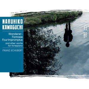 Liszt Franz Schubert Franz - Piano Works i gruppen CD hos Bengans Skivbutik AB (2728270)