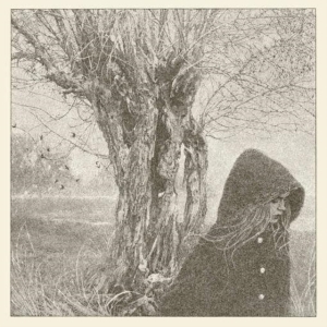 Lankum - Between The Earth And Sky i gruppen VINYL hos Bengans Skivbutik AB (2765592)