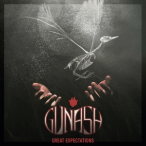 Gunash - Great Expectations i gruppen CD hos Bengans Skivbutik AB (2822262)
