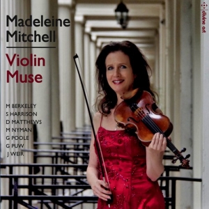 Various - Violin Muse i gruppen CD hos Bengans Skivbutik AB (2822279)