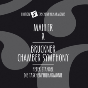 Bruckner Anton Mahler Gustav - Chamber Symphony i gruppen CD hos Bengans Skivbutik AB (2822282)