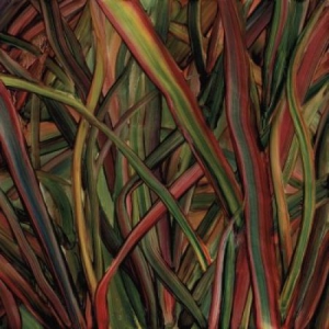 Gengahr - Where Wilderness Grows i gruppen VI TIPSER / Klassiska lablar / PIAS Recordings hos Bengans Skivbutik AB (2851568)