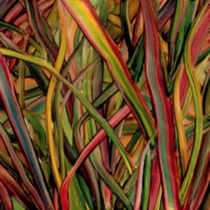 Gengahr - Where Wilderness Grows i gruppen VI TIPSER / Klassiska lablar / PIAS Recordings hos Bengans Skivbutik AB (2851568)