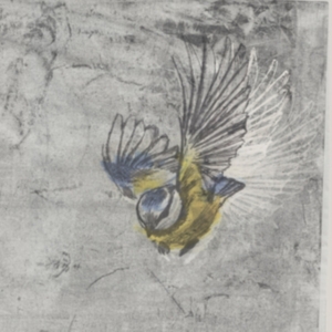 Mésange - Heliotrope i gruppen VINYL hos Bengans Skivbutik AB (2881809)