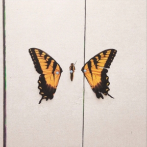Paramore - Brand New Eyes i gruppen VINYL hos Bengans Skivbutik AB (2887058)