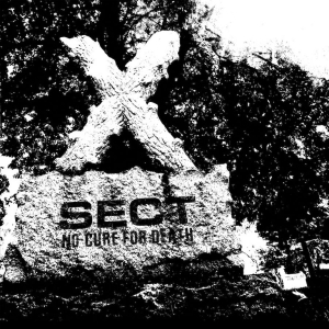 Sect - No Cure For Death i gruppen VINYL hos Bengans Skivbutik AB (2887509)