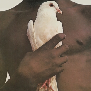 Santana - Greatest Hits (1974) i gruppen Minishops / Santana hos Bengans Skivbutik AB (2896205)