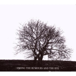 Mr David Viner - Among The Rumours And The R i gruppen CD hos Bengans Skivbutik AB (2998361)
