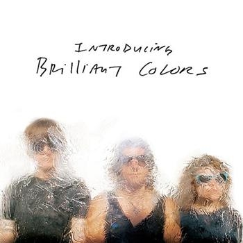 Brilliant Colors - Introducing i gruppen CD / Toppselgere hos Bengans Skivbutik AB (3013785)
