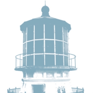 Gold-Bears - Are You Falling In Love? i gruppen CD hos Bengans Skivbutik AB (3013808)