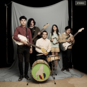 Sea Lions - Everything You Always Wanted To Kno i gruppen CD hos Bengans Skivbutik AB (3013819)