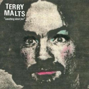 Terry Malts - Something About You i gruppen VINYL hos Bengans Skivbutik AB (3013823)