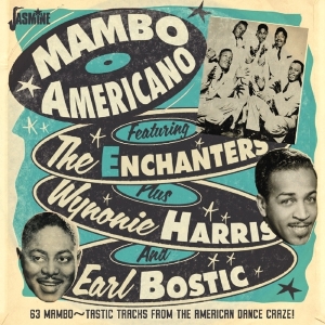 Various - Mambo Americano i gruppen CD hos Bengans Skivbutik AB (3034385)