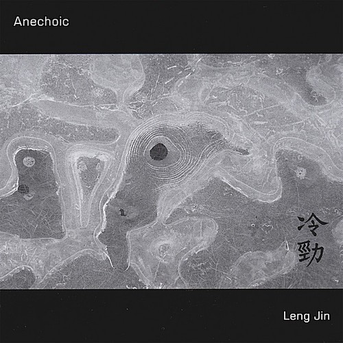 Anechoic - Leng Jin i gruppen CD / Rock hos Bengans Skivbutik AB (3034504)