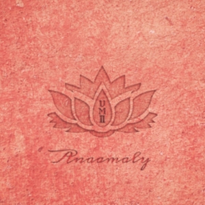 Anaamaly - Urban Metta Vol 2 i gruppen CD hos Bengans Skivbutik AB (3034522)