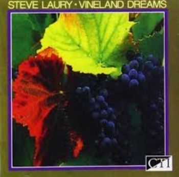 Laury Steve - Vineland Dreams i gruppen CD / Toppselgere hos Bengans Skivbutik AB (3043499)
