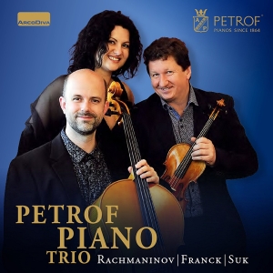 Franck César Rachmaninov Sergey - Piano Trios i gruppen CD hos Bengans Skivbutik AB (3049462)