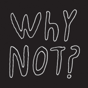 Half Japanese - Why Not? i gruppen VINYL hos Bengans Skivbutik AB (3083637)