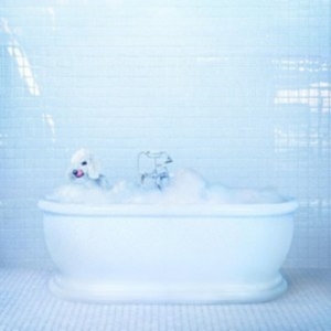 Frankie Cosmos - Vessel i gruppen VINYL hos Bengans Skivbutik AB (3084310)