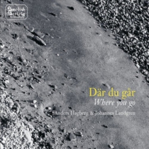 Anders Hagberg & Johannes Landgren - Där Du Går / Where You Go i gruppen CD hos Bengans Skivbutik AB (3097049)
