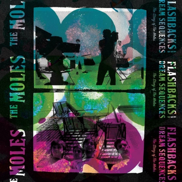 Moles The - Flashbacks And Dream Sequences The i gruppen VINYL / Rock hos Bengans Skivbutik AB (3113816)