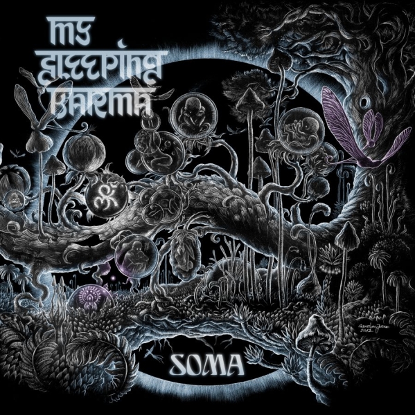My Sleeping Karma - Soma - Ltd.Ed. i gruppen CD / Toppselgere hos Bengans Skivbutik AB (3115759)