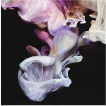 Simian Mobile Disco - Murmurations i gruppen CD / Toppselgere hos Bengans Skivbutik AB (3115867)