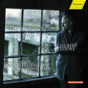 Schubert Franz Loewe Carl - In The Realm Of The Erlking - Balla i gruppen CD hos Bengans Skivbutik AB (3116808)