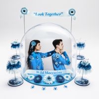 Wild Moccasins - Look Together i gruppen CD hos Bengans Skivbutik AB (3125021)