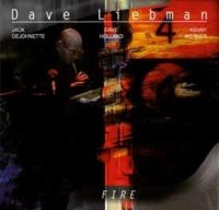 Liebman Dave - Fire i gruppen VINYL / Toppselgere hos Bengans Skivbutik AB (3178318)