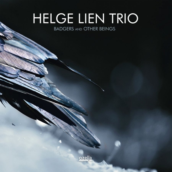 Lien Helge (Trio) - Badgers And Other Beings i gruppen CD / Toppselgere hos Bengans Skivbutik AB (3186714)